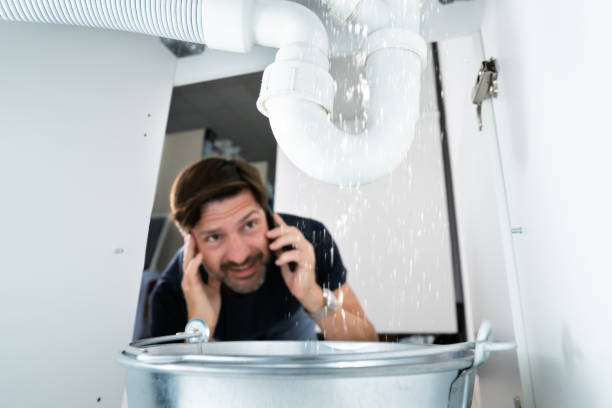 Best Leak Detection Services  in Nanawale Estates, HI